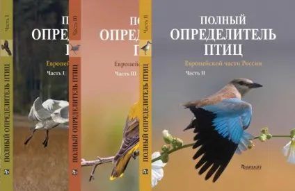 Як спостерігати за птахами