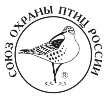 Як спостерігати за птахами