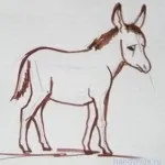 Як намалювати голову і морду коня (голова коня малюнок) Як намалювати голову і морду коня