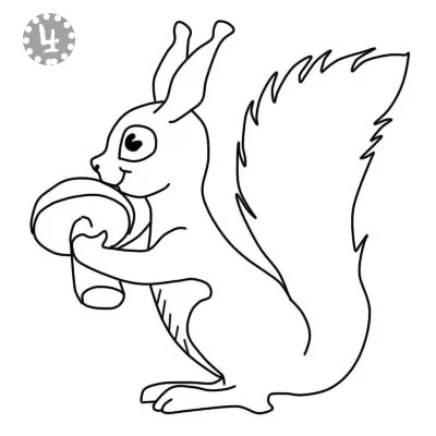Як намалювати білку
