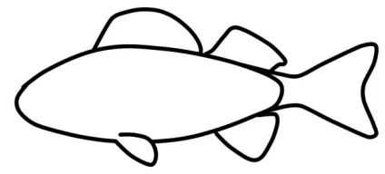 Як намалювати окуня поетапно олівцем, lessdraw (олівцем) Як намалювати окуня поетапно олівцем, lessdraw