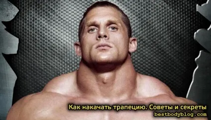 Як накачати трапецію в залі і вдома, швидка і ефективна програма тренування (набрати масу) Як накачати трапецію в залі і вдома, швидка і ефективна програма тренування