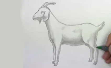 Як намалювати козла