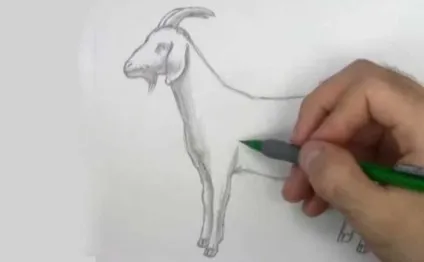 Як намалювати козла