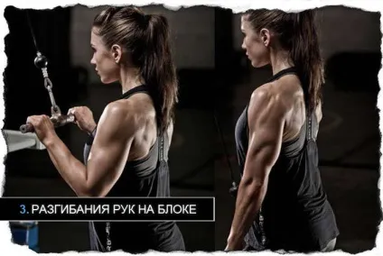 Як накачати трицепс дівчині, азбука тіла (бодібілдинг) Як накачати трицепс дівчині, азбука тіла
