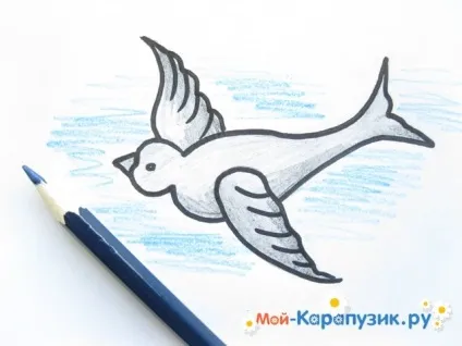 Як намалювати ластівку олівцем поетапно (олівцем) Як намалювати ластівку олівцем поетапно