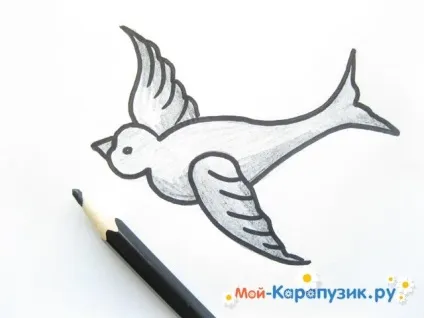 Як намалювати ластівку олівцем поетапно (олівцем) Як намалювати ластівку олівцем поетапно