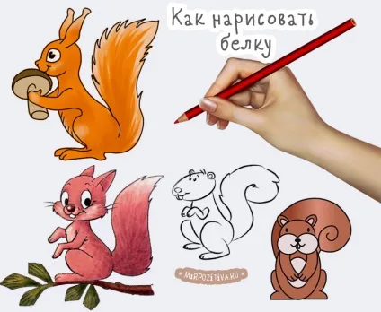 Як намалювати білку