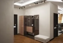 Меблі у вітальні-передпокої поєднання в будинку, шафи і дизайн кухні-коридору, фото перегородок між (вітальні-передпокої) Меблі у вітальні-передпокої поєднання в будинку, шафи і дизайн кухні-коридору, фото перегородок між
