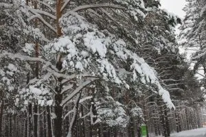 Махатма - я щиро тобі бажаю