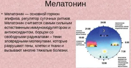 Мелатонін (гормон сну) що це таке, де виробляється (виробляється) Мелатонін (гормон сну) що це таке, де виробляється