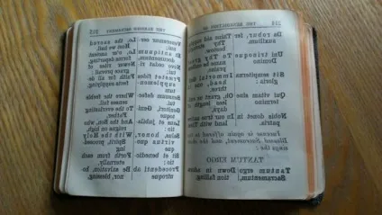 Мертві мови і живе життя латинь