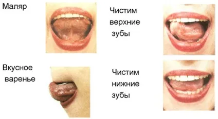 Як навчити дитину вимовляти букву «р» (навчити) Як навчити дитину вимовляти букву «р»