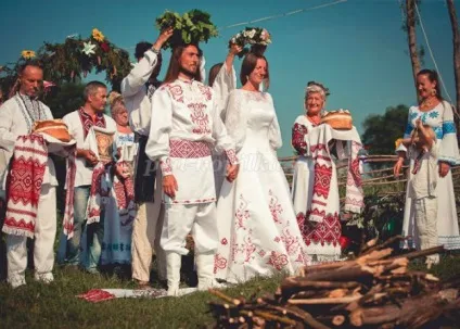 Як намалювати виноградну лозу на стіні будинку своїми руками крок за кроком з фото (будинку) Як намалювати виноградну лозу на стіні будинку своїми руками крок за кроком з фото