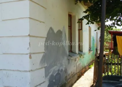 Як намалювати виноградну лозу на стіні будинку своїми руками крок за кроком з фото (будинку) Як намалювати виноградну лозу на стіні будинку своїми руками крок за кроком з фото