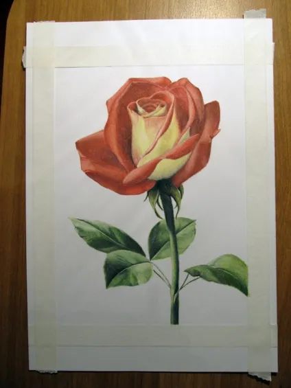 Як намалювати троянду пастеллю - ярмарок майстрів - ручна робота, handmade (робота) Як намалювати троянду пастеллю - ярмарок майстрів - ручна робота, handmade