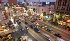 Як називається житло вовка (житло) Як називається житло вовка