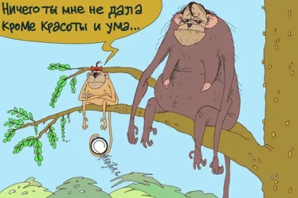 Як навчитися писати статті з нуля дізнайся, вчися і пиши (статті) Як навчитися писати статті з нуля дізнайся, вчися і пиши