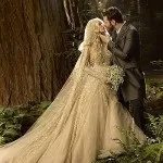 Як організувати шикарне весілля (весілля) Як організувати шикарне весілля