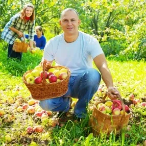 Як визначити своє покликання і чому важливо це зробити (визначити) Як визначити своє покликання і чому важливо це зробити