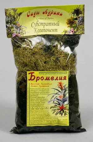 Як здійснюється розмноження Гузмания, а також догляд за нею і пересадка (розмноження) Як здійснюється розмноження Гузмания, а також догляд за нею і пересадка