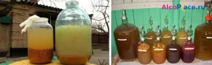 Як визначити готовність браги до перегонки в самогон (самогон) Як визначити готовність браги до перегонки в самогон