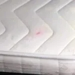 Як відіпрати пляму від майонезу з одягу (пляма) Як відіпрати пляму від майонезу з одягу