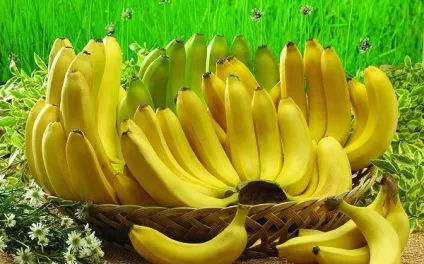 Як відіпрати банан з одягу і якими способами (банан) Як відіпрати банан з одягу і якими способами