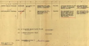 Як писати мемуари, вчимося писати мемуари, біографію та історію сім'ї (біографію) Як писати мемуари, вчимося писати мемуари, біографію та історію сім'ї