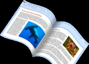 Як перенести таблицю з excel в word (word) Як перенести таблицю з excel в word