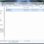 Як почистити папку appdata в windows 7