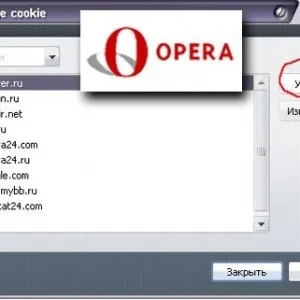 Як почистити куки (cookies) в (opera) опері 12 (куки) Як почистити куки (cookies) в (opera) опері 12