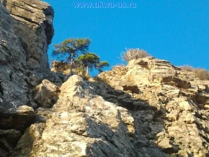Як підготувати камені для акваріума, блог акваріума (камені в акваріумі) Як підготувати камені для акваріума, блог акваріума