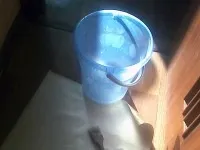 Як поклеїти шпалери шовкографію своїми руками (шовкографія) Як поклеїти шпалери шовкографію своїми руками