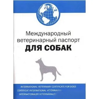 Як отримати документи на собакумой йорк (отримати документи собаку) Як отримати документи на собакумой йорк