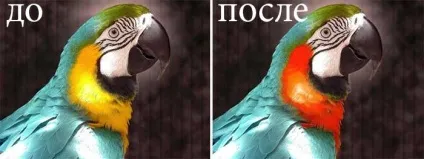 Як поміняти колір окремого фрагмента фото (міняємо колір в photoshop) Як поміняти колір окремого фрагмента фото