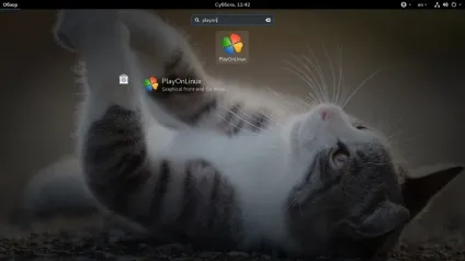 Як користуватися playonlinux, losst