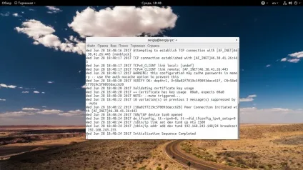 Як користуватися openvpn, losst