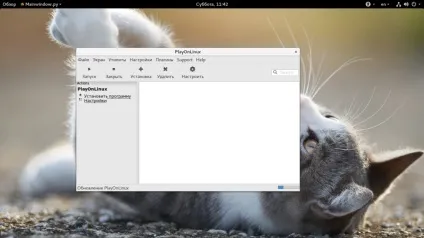 Як користуватися playonlinux, losst