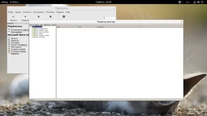 Як користуватися playonlinux, losst