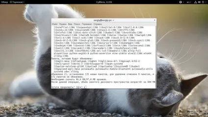 Як користуватися playonlinux, losst