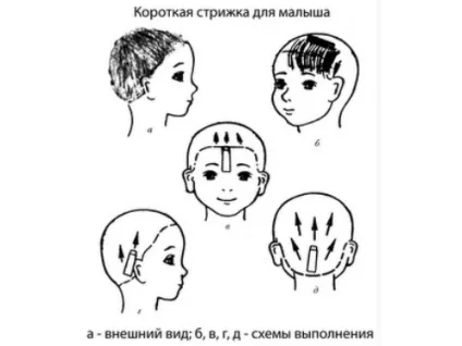 Як підстригти дитини машинкою будинку