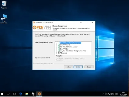 Як користуватися openvpn, losst