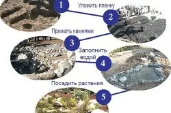 Як побудувати ставок на ділянці своїми руками