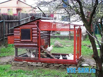 Як побудувати курник - 10 проектів з кресленнями і фото, мої ідеї для дачі та саду (ідеї) Як побудувати курник - 10 проектів з кресленнями і фото, мої ідеї для дачі та саду