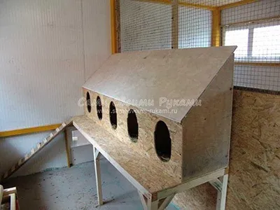 Як побудувати курник - 10 проектів з кресленнями і фото, мої ідеї для дачі та саду (ідеї) Як побудувати курник - 10 проектів з кресленнями і фото, мої ідеї для дачі та саду