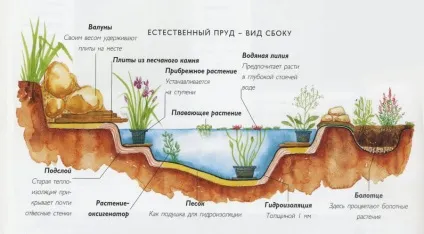 Як побудувати ставок на ділянці своїми руками
