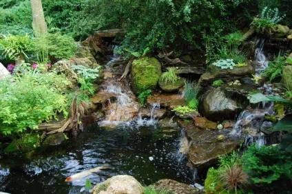 Як побудувати водоспад на дачній ділянці своїми руками, де і як зробити водоспад з каменів в саду (водоспад) Як побудувати водоспад на дачній ділянці своїми руками, де і як зробити водоспад з каменів в саду