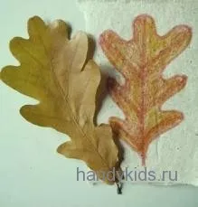 Як правильно намалювати дубовий лист (дубовий) Як правильно намалювати дубовий лист