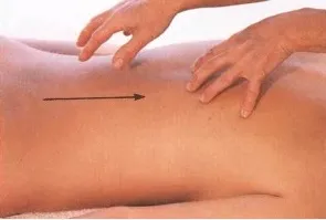 Як правильно робити масаж спини журнал the best - сторінка 2 (спини) Як правильно робити масаж спини журнал the best - сторінка 2